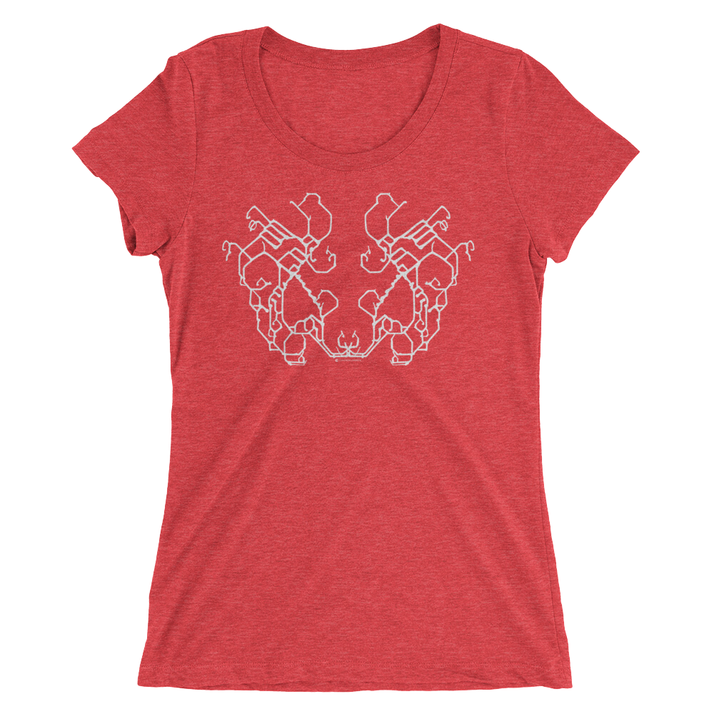 Women's Gravity Mirror Tri-blend T-shirt